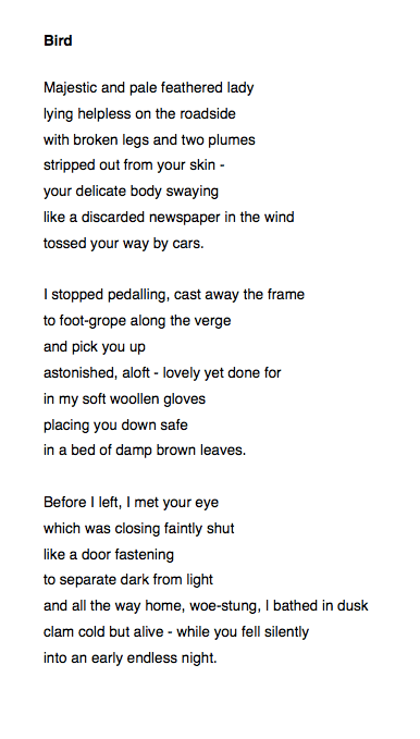 Screen Shot 2017-11-19 at 09.50.22